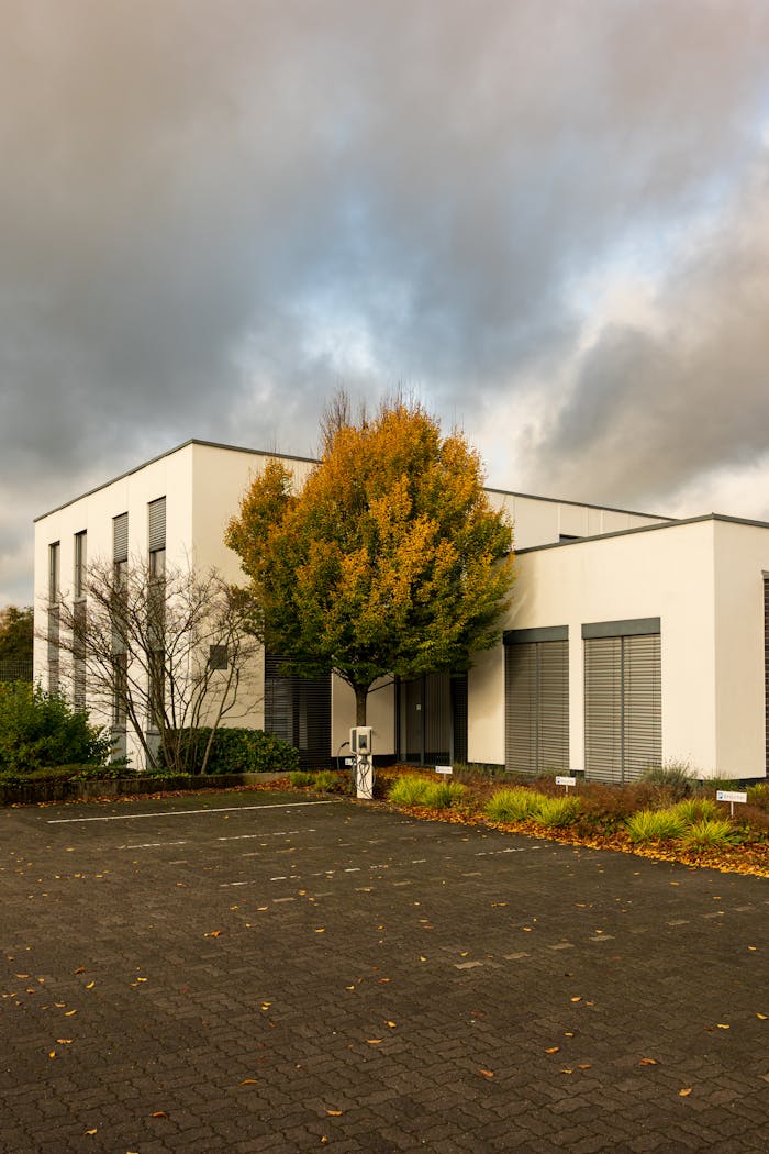 Contemporary building exterior with a vibrant autumn tree and cloudy sky.